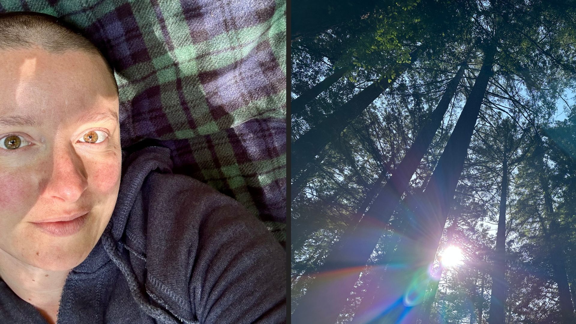 in the left image, a woman with a shaved head and hazel eyes stares at the camera from a blanket. in the right image, sun filters through redwoods.